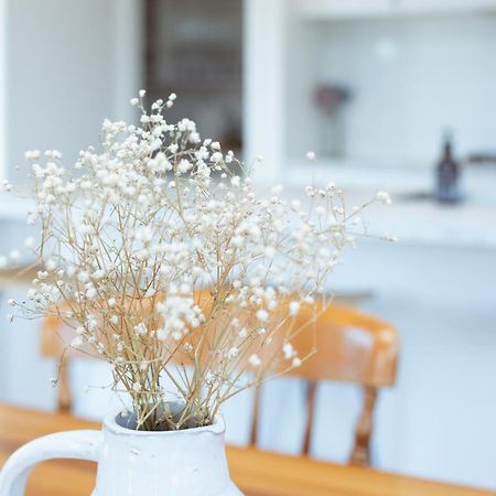 メスベン Gleniffer Viewsヴィラ エクステリア 写真